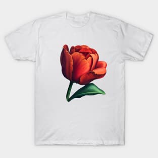 Red Tulip T-Shirt